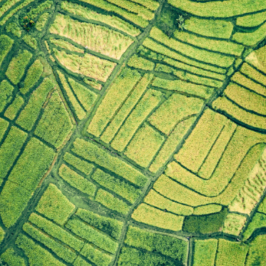 Lorem Ipsum Dolor Sit Amet, Consetr Sadipscing?