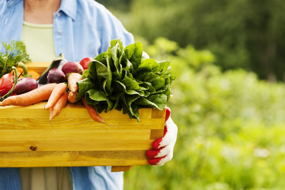 Benefits of Organic Food